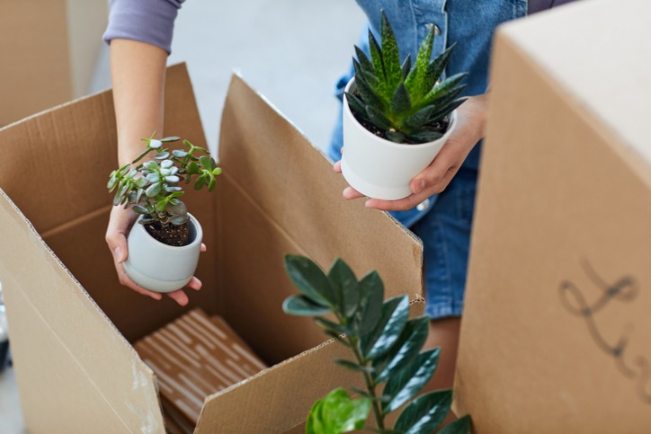 Woman packing up her kitchen